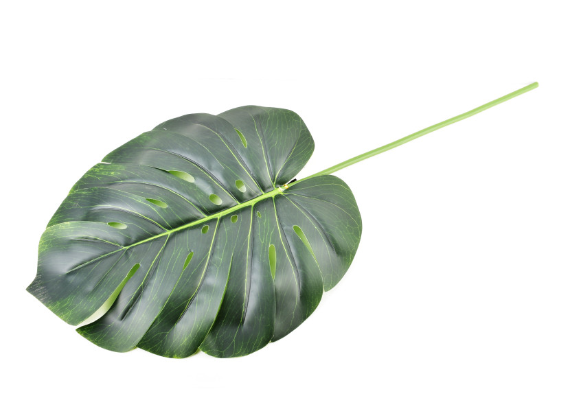 Kwiat sztuczny 77x36cm VIRIDIIS