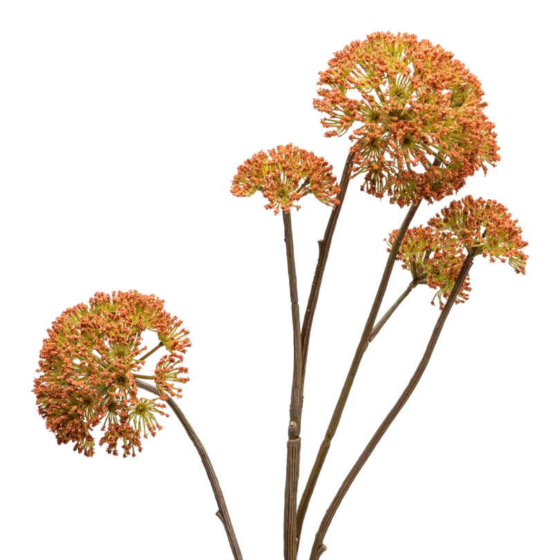 Dekozweig Dried-Grass