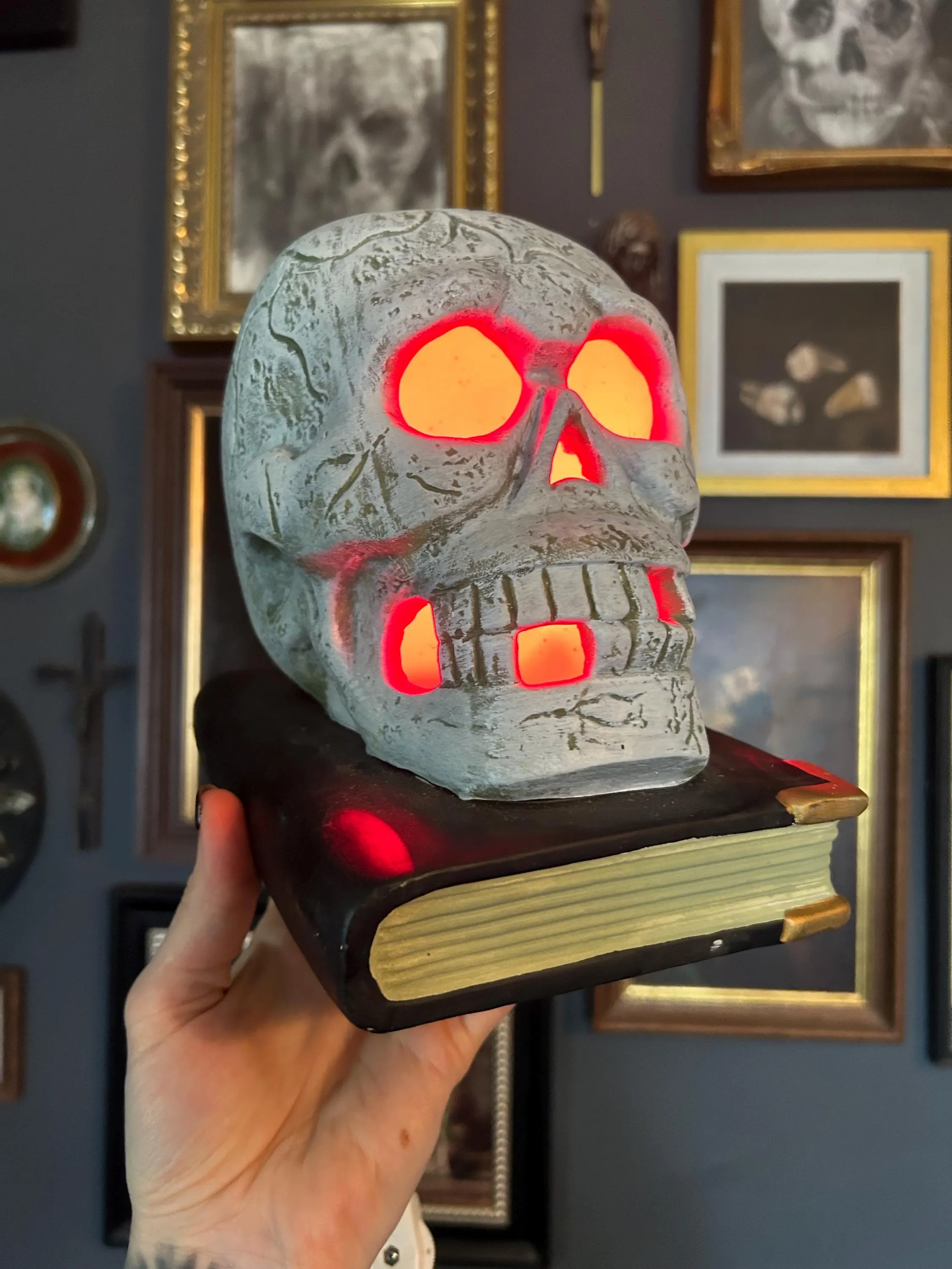 vintage skull on books nightlight