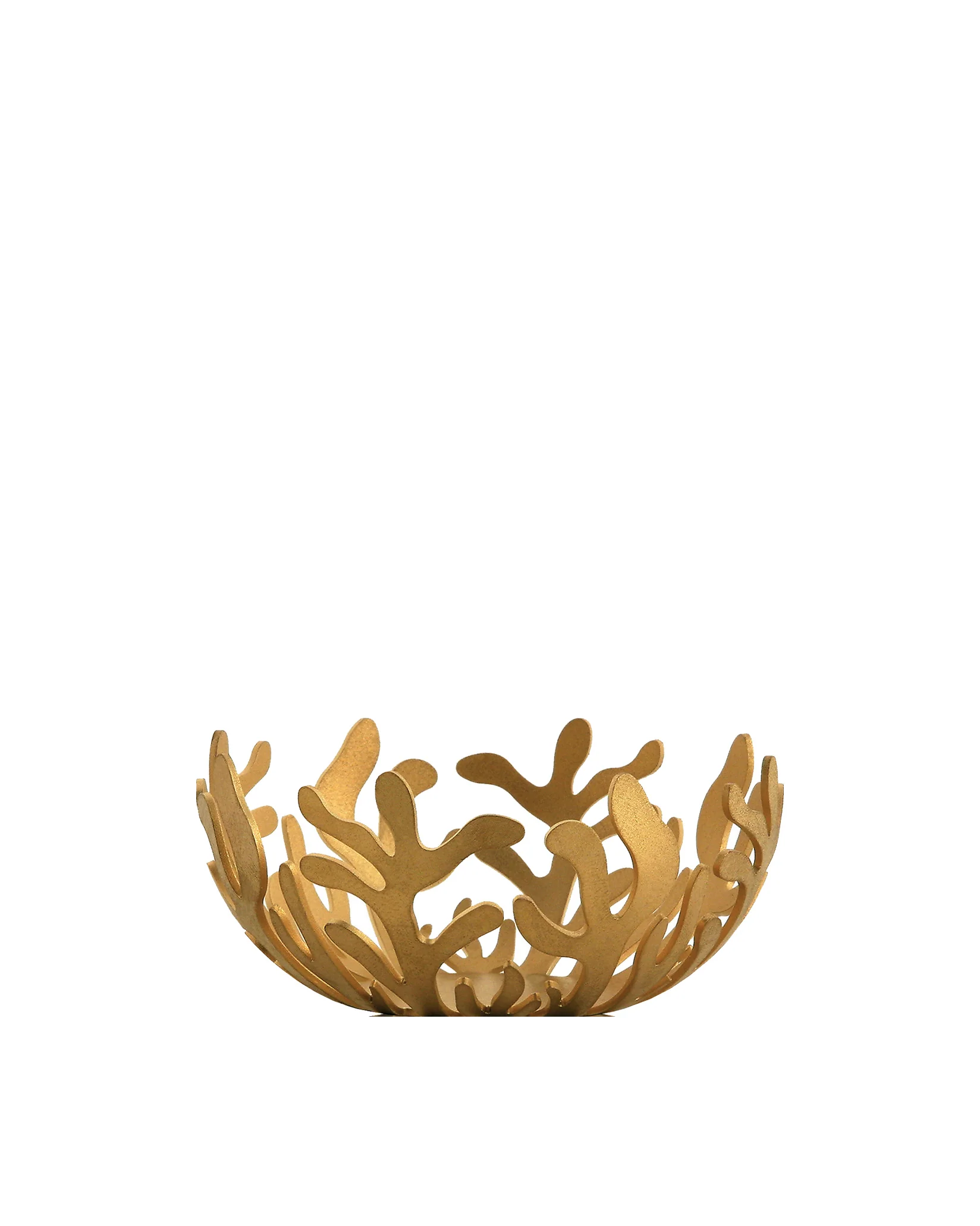 Mediterraneo