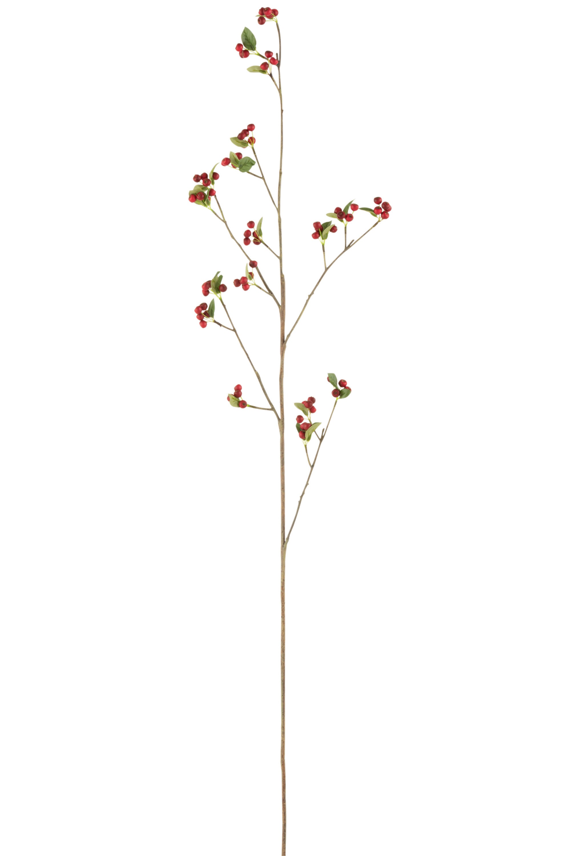 J-Line decoratie tak Bessen Fijn - kunststof - rood groen -