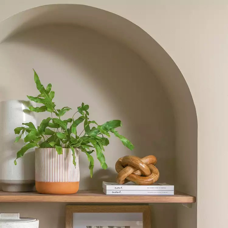 Habitat Hand Painted Terracotta Large Planter - Orange