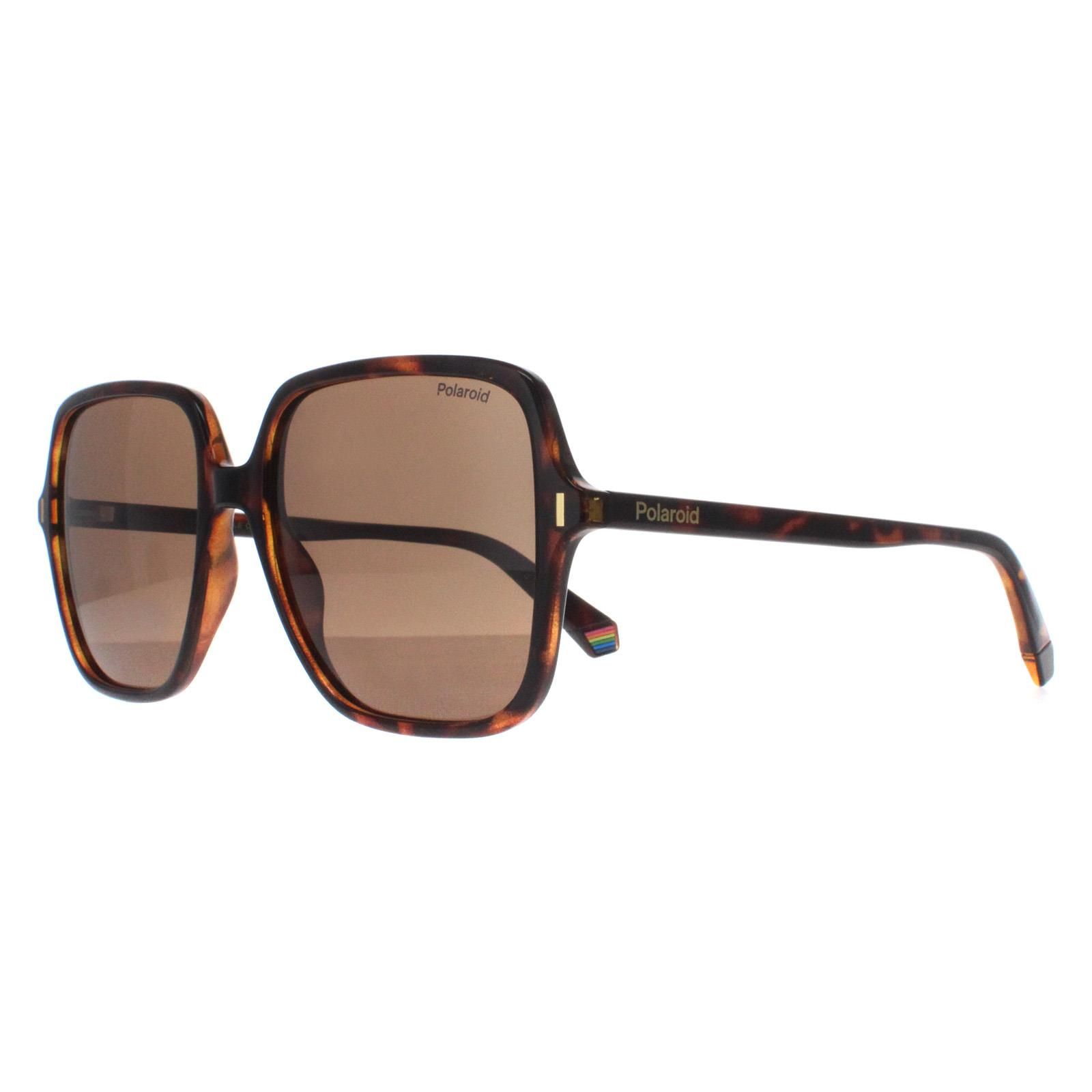 Polaroid Square Havana Bronze Polarized PLD 6219/S