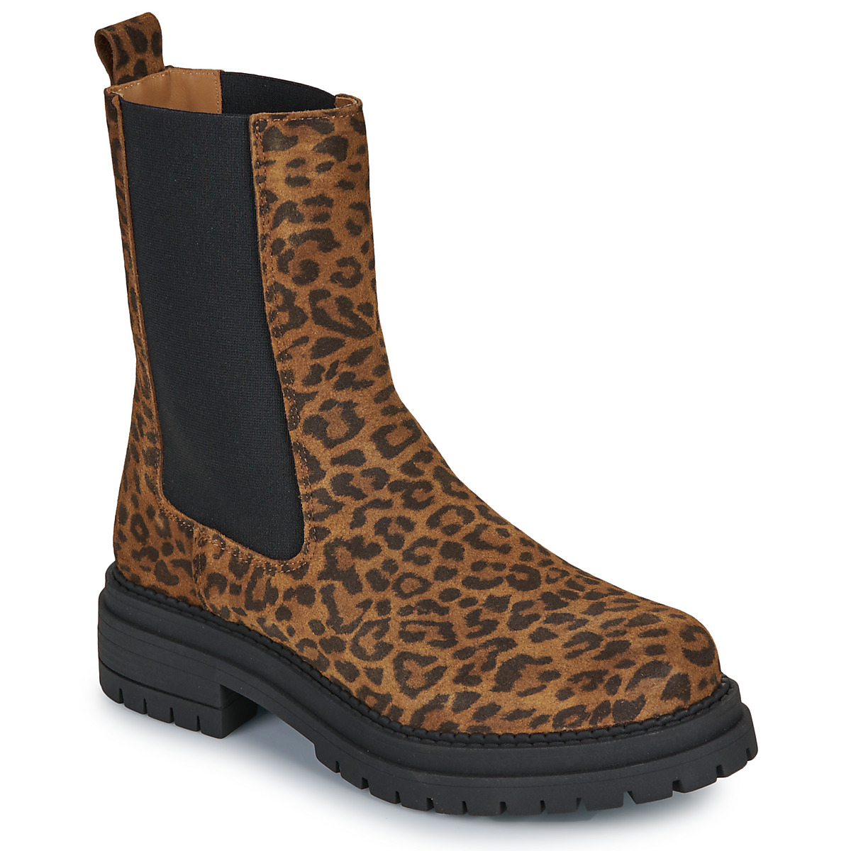 Fericelli - MAGNOLI - Leopard