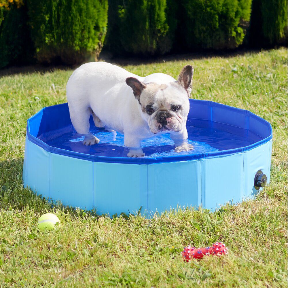 Piscinette ronde pour chien Ø80xH30cm