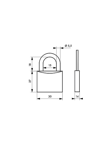 Cadenas à clé Poisson, acier, intérieur, anse acier, 30mm, 3 clés - THIRARD