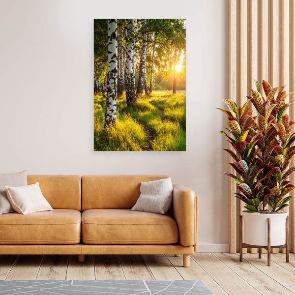 Obraz do salonu sypialni biura, Brzozowy las natura pejzaż 20x30