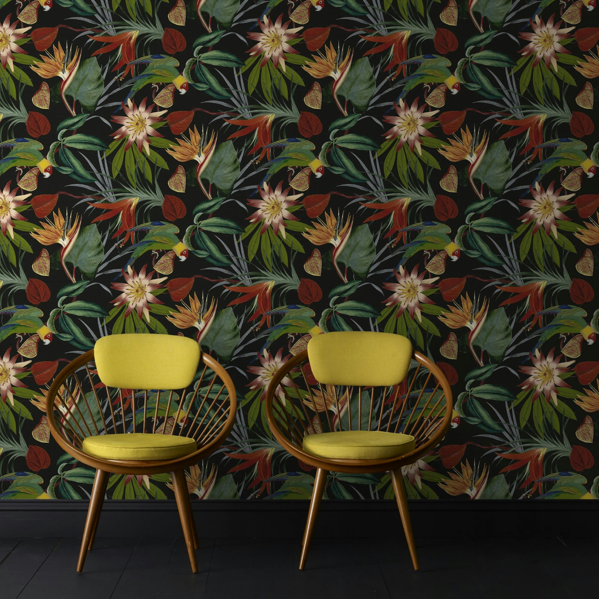 - Papier peint intissé perroquet noir 1005x52cm