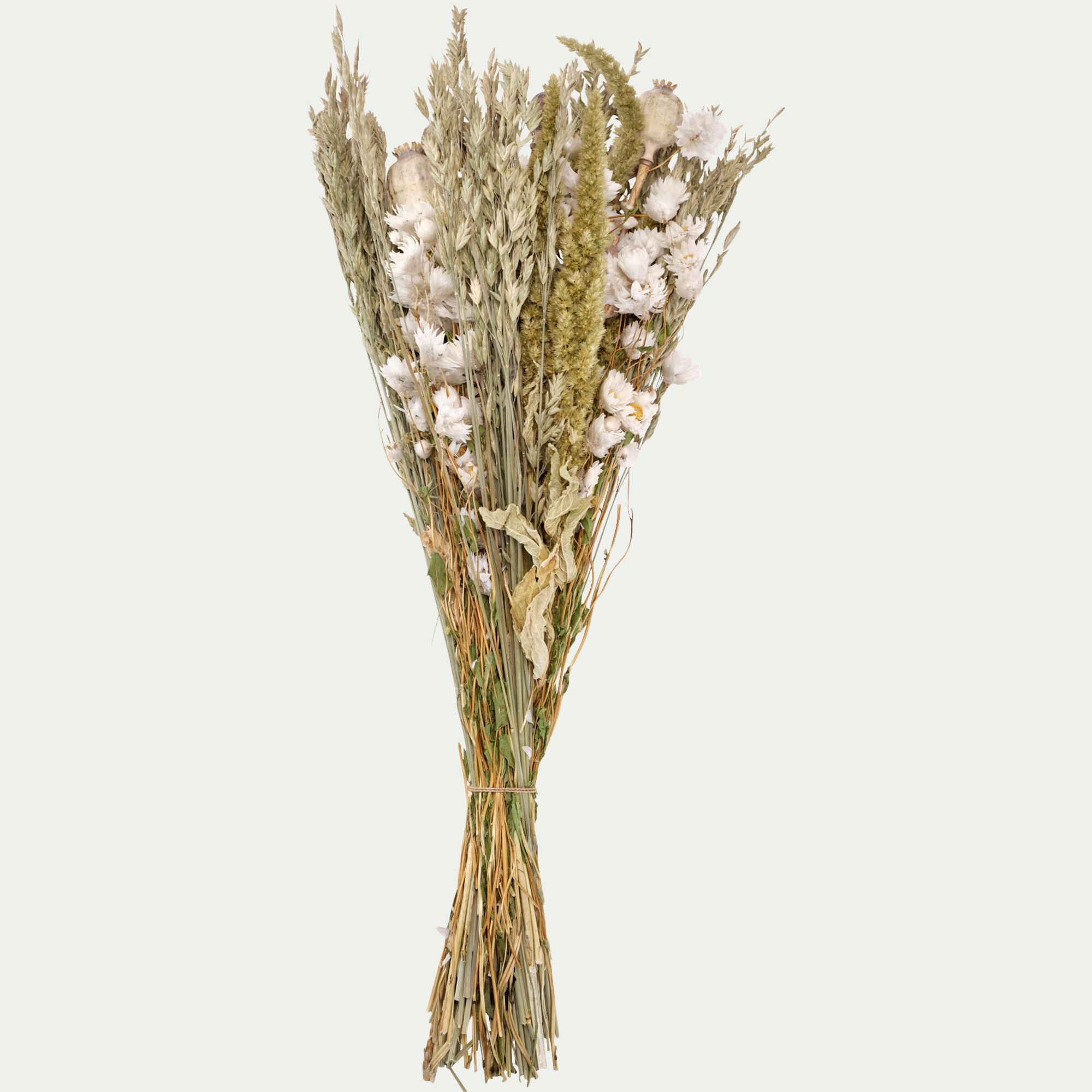 FLORALIE - Bouquet de fleurs séchées 50cm - blanc