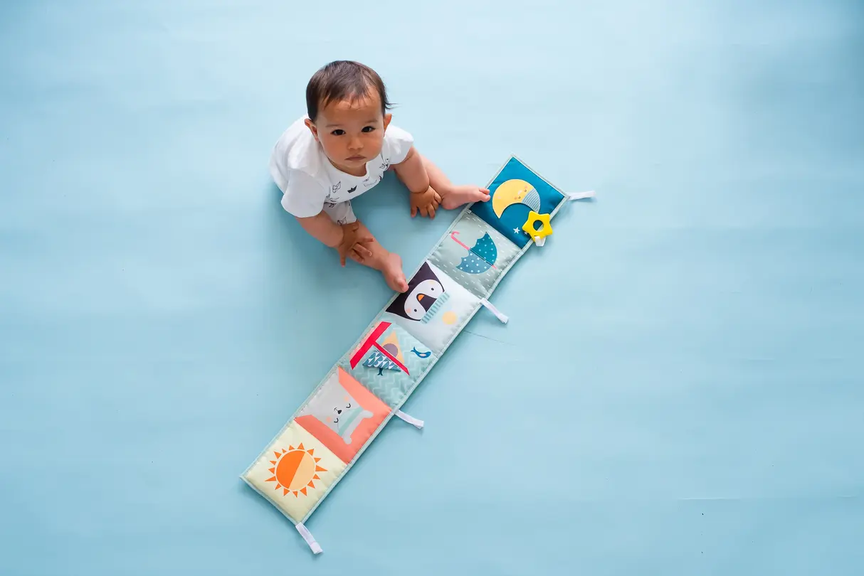 Kinderbuch Taf Toys