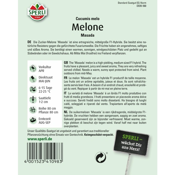 Melone »Masada«, Typ Galia, zuckersüß und aromatisch