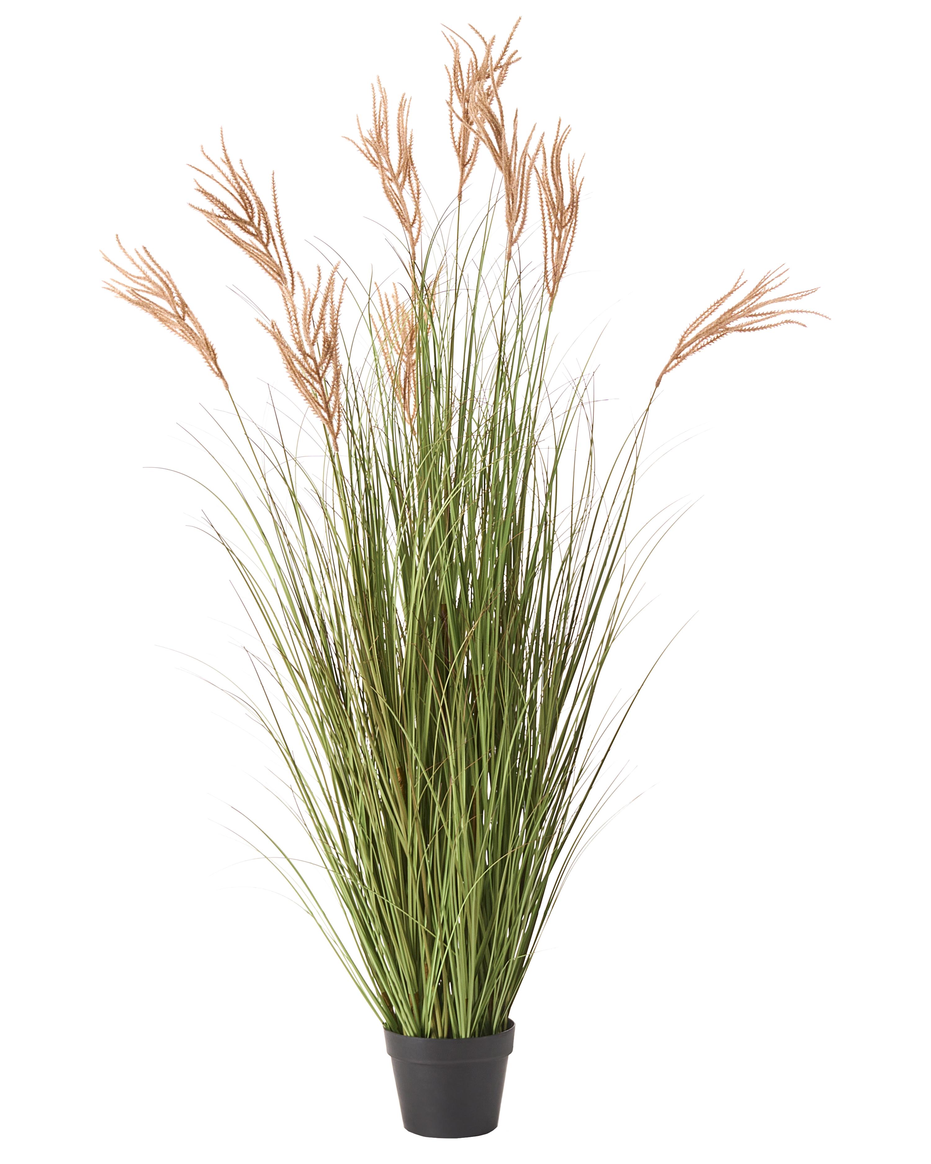 Artificial Plant CLAW FLOWER 150 cm Green