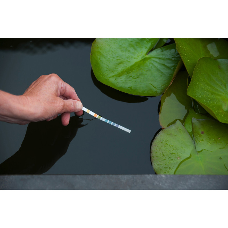 Bandelette Aqua MultiTest 50 pièces UBBINK