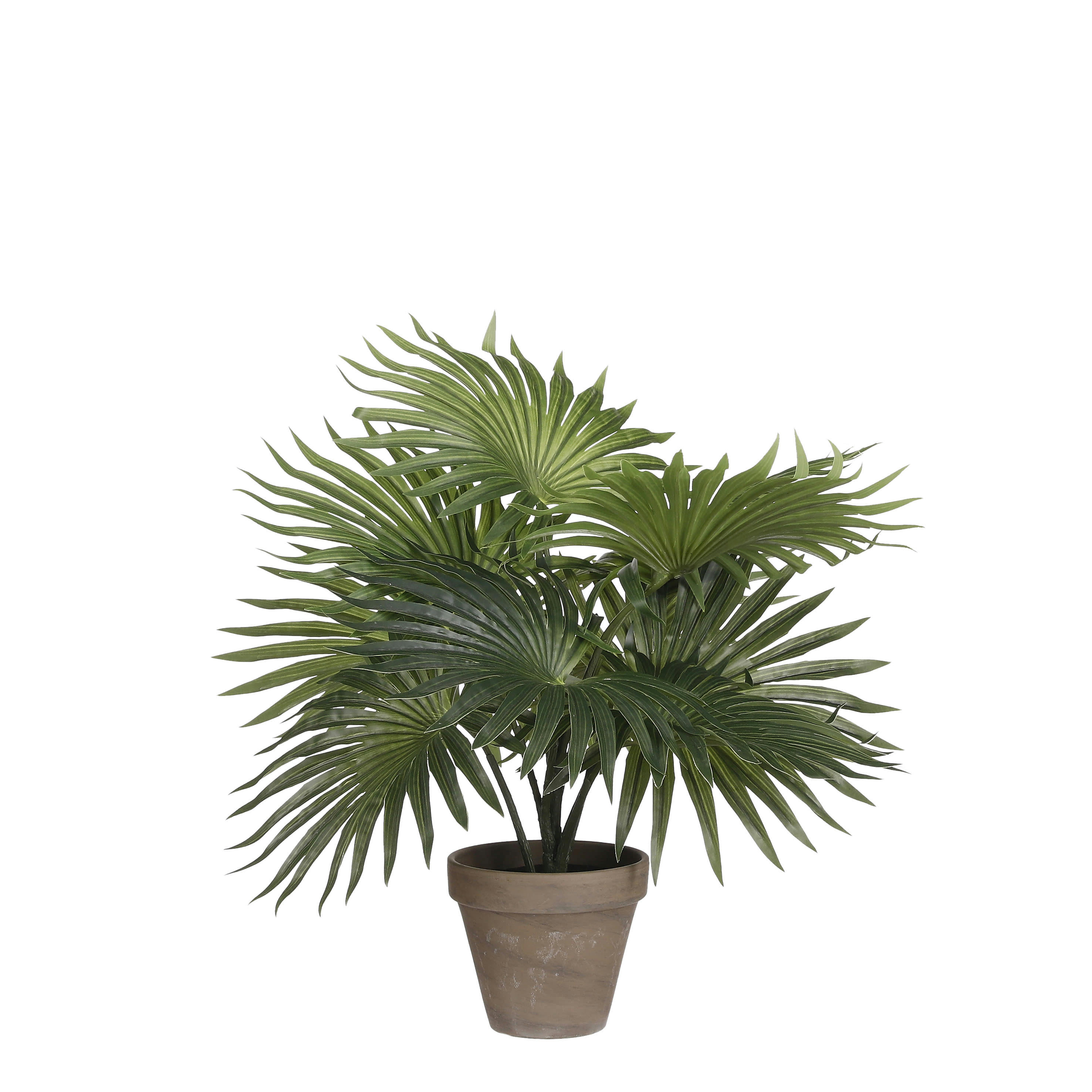 PALM - Fougère artificielle en pot H40