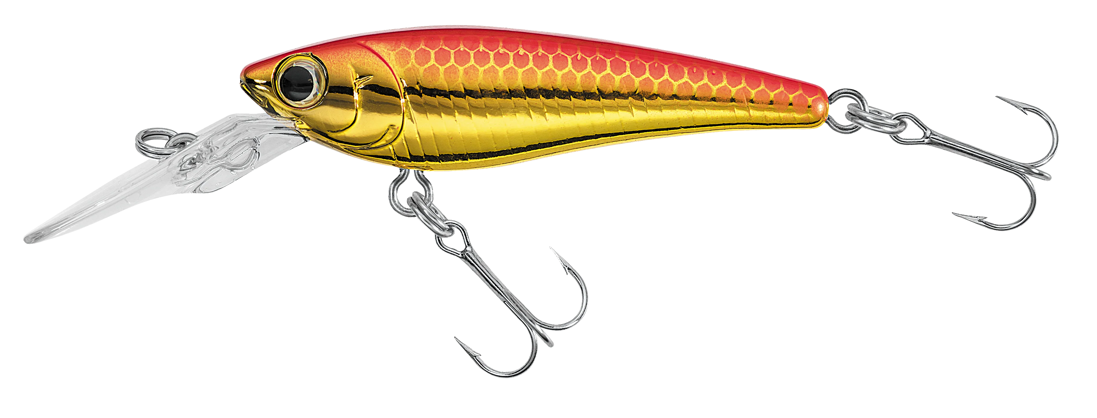 SC SHAD
