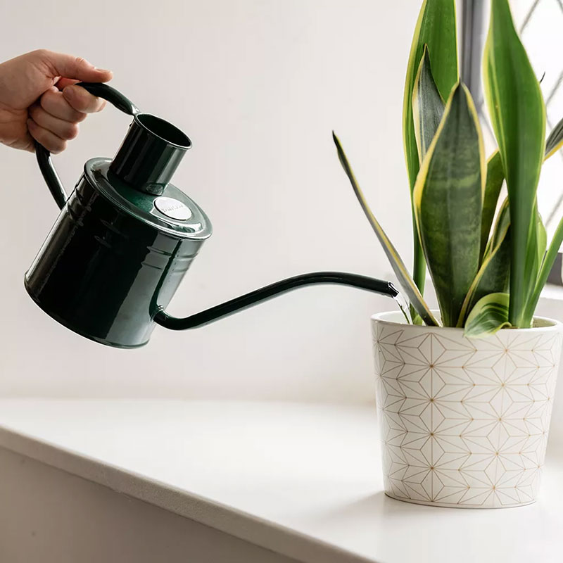 Vattenkanna Forest Green 1 L
