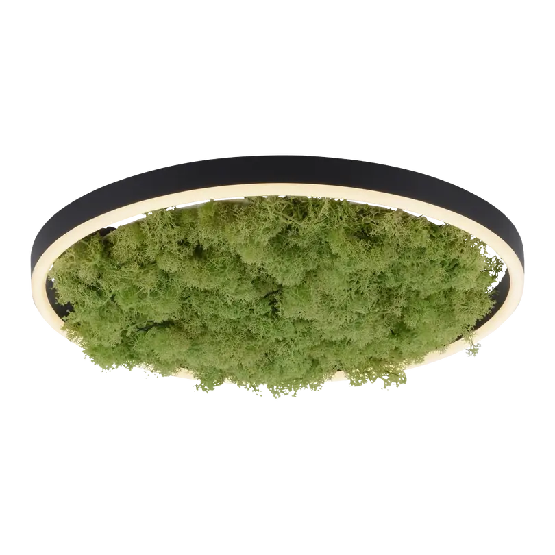 5in1 Solarleuchte Green Ritus