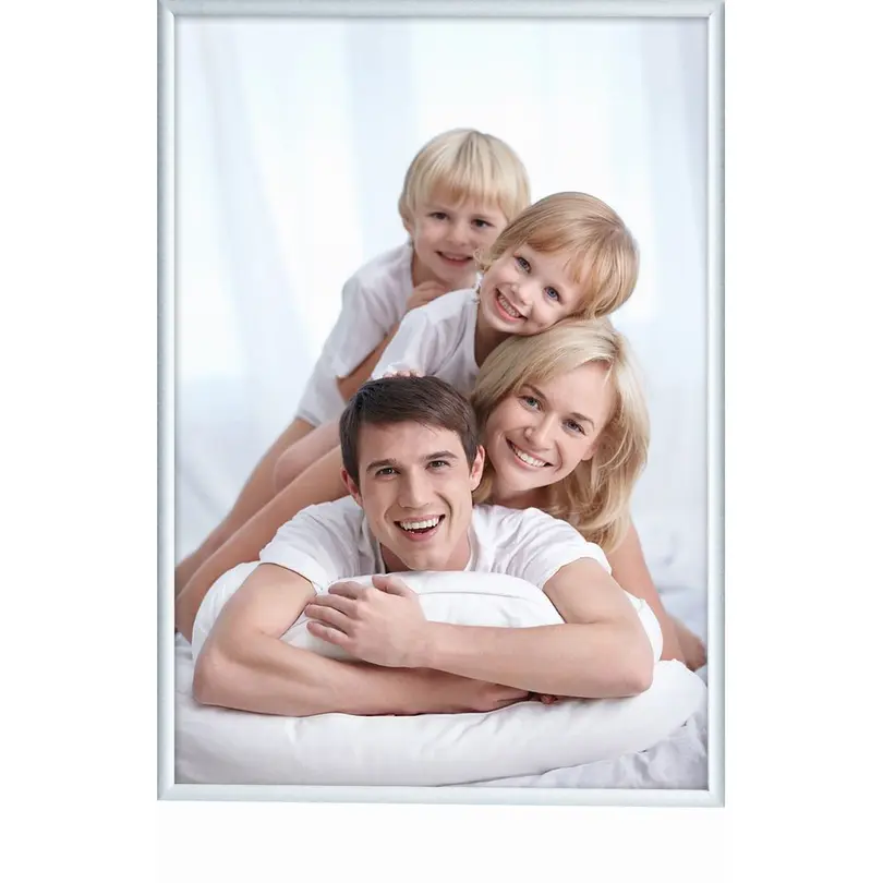 Wechselrahmen Debex