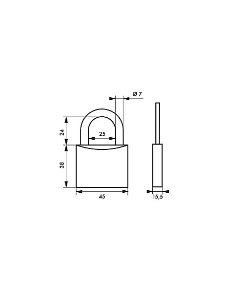 Cadenas à clé Type 1, laiton, extérieur, anse acier, 45mm, 2 clés - THIRARD