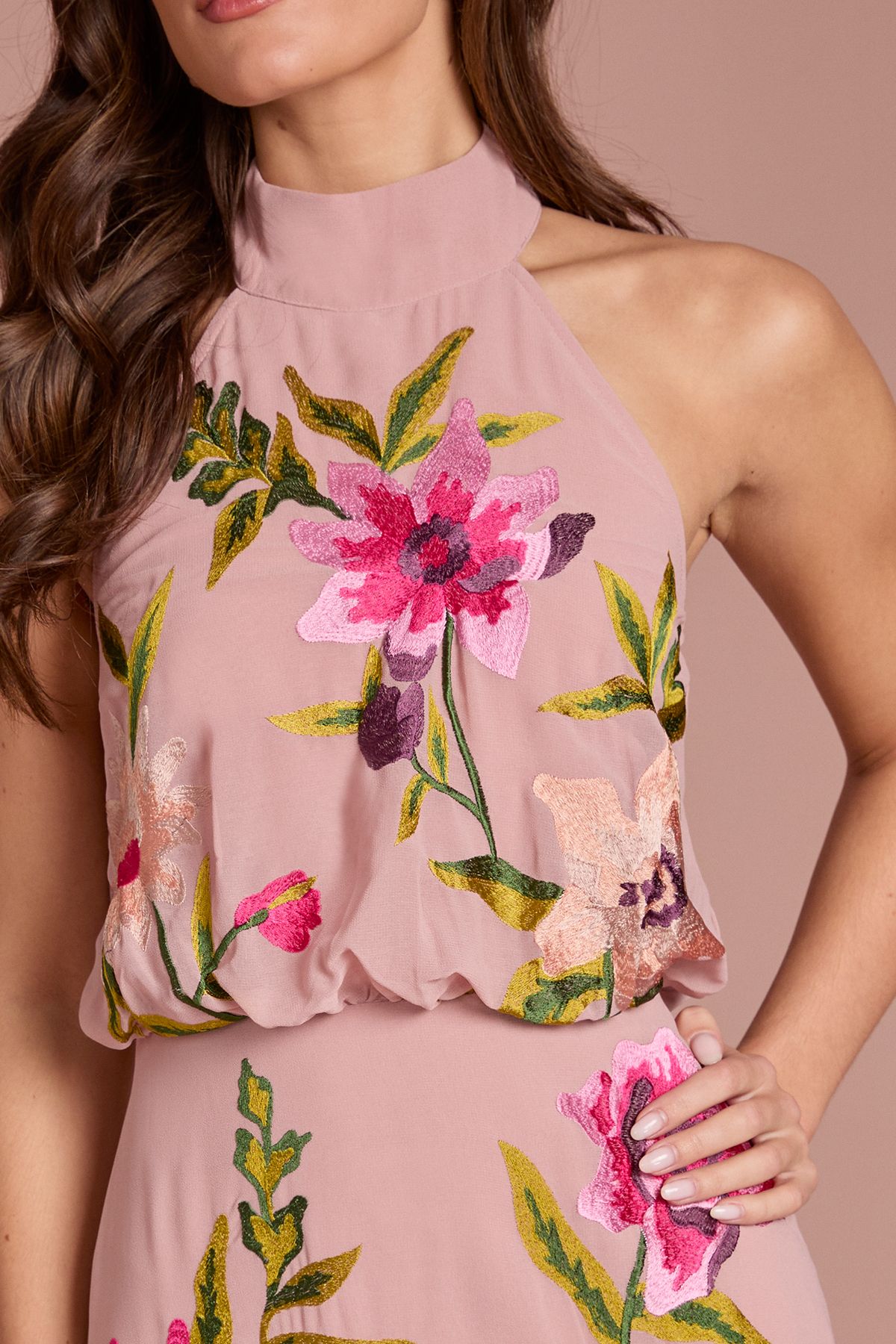 Coast High Neck Midi Dress With Floral Embroidery