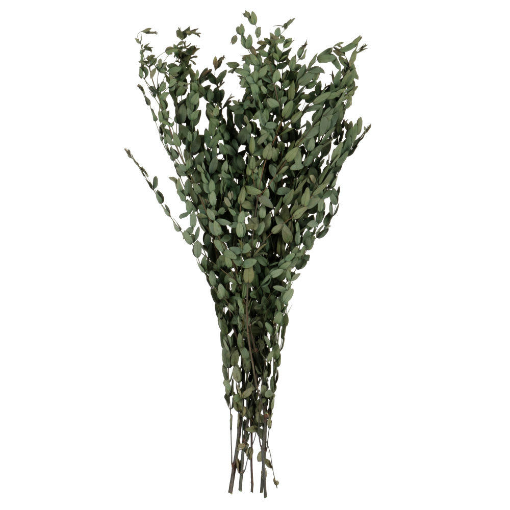 MIA - Bouquet de fleurs séchées vertes