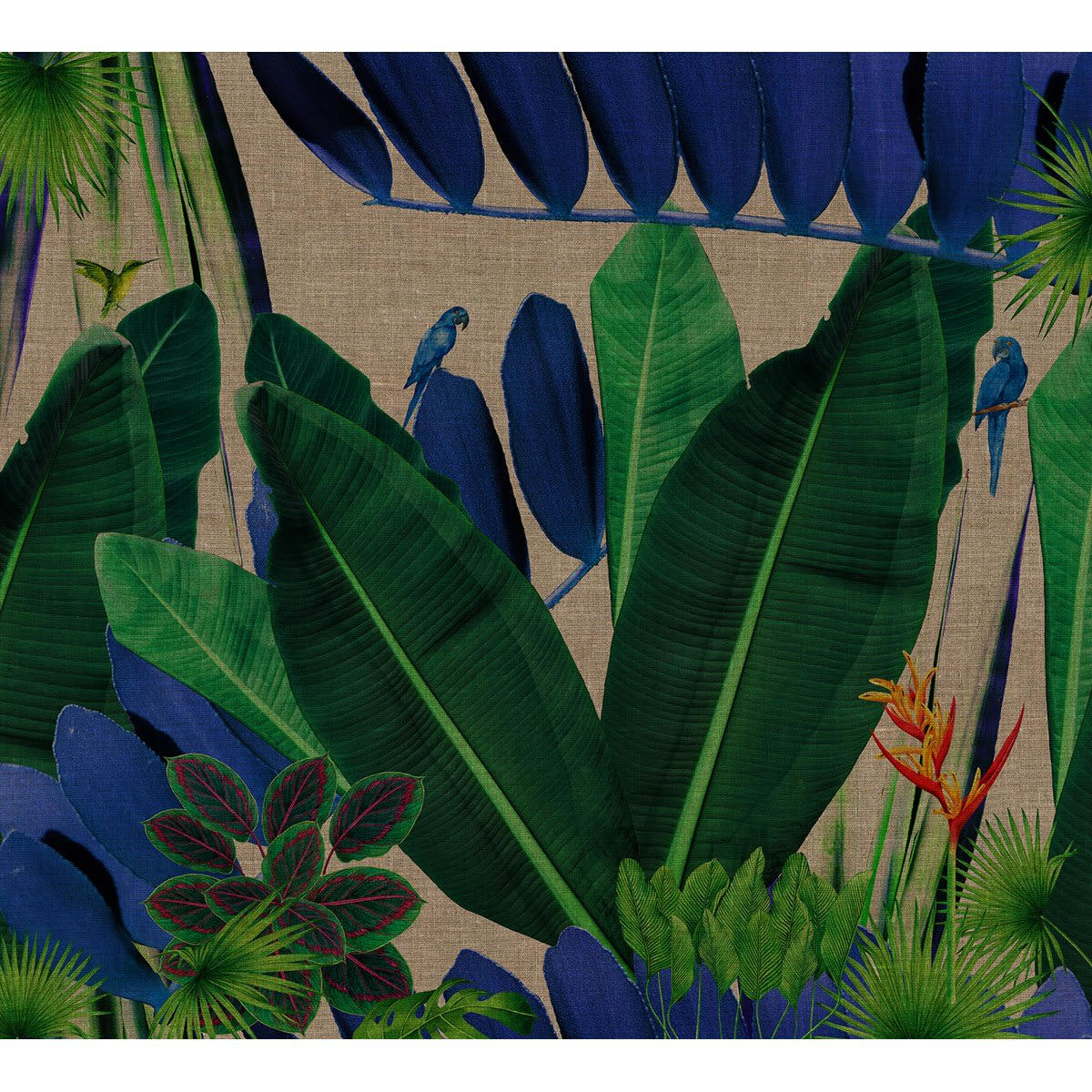 KOLIBRI - Papier peint panoramique en papier vert foncé 288x260