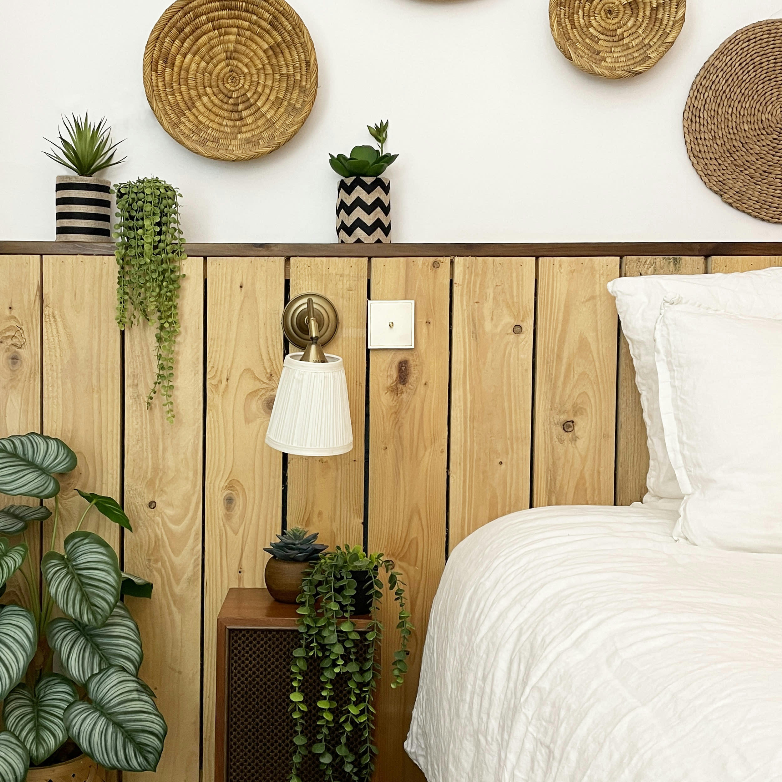 - Succulentes artificielles 25cm lot de 2