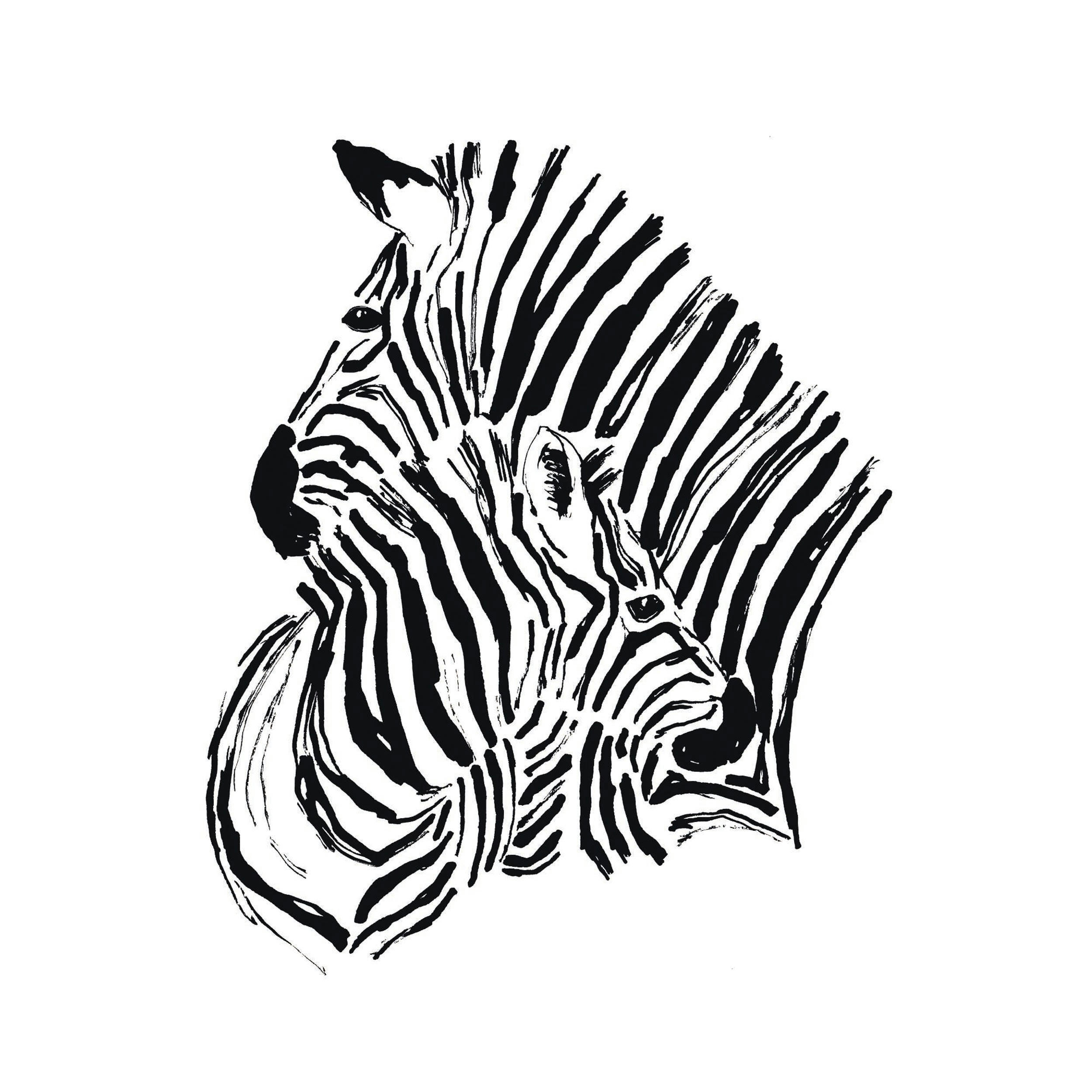 2 ZÈBRES - Poster en papier noir et blanc 40x50 cm