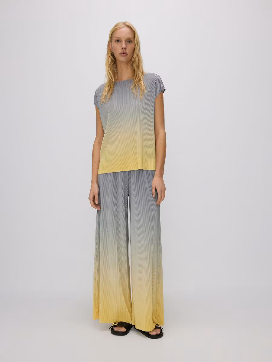 Pleated Wide Leg Trousers