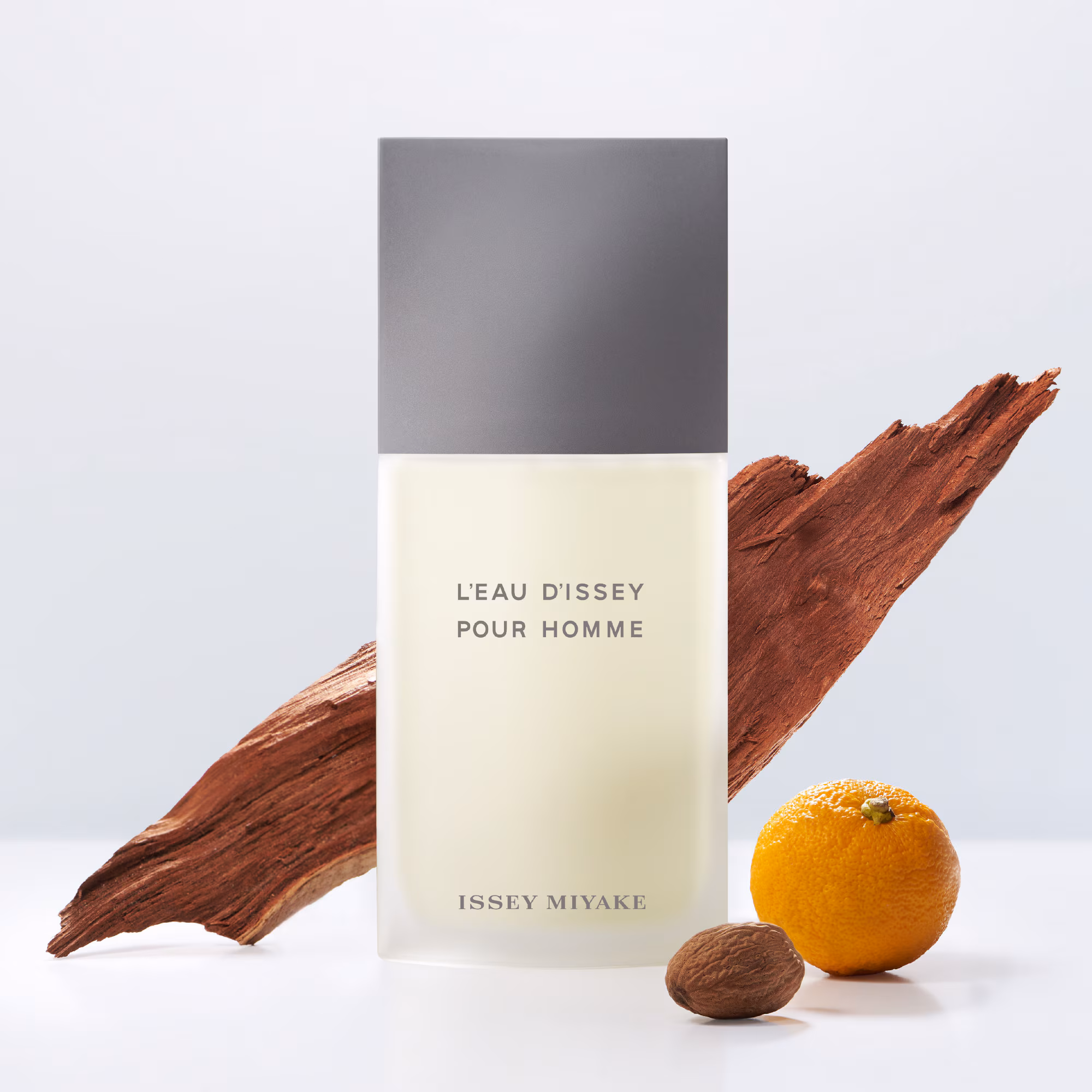 L'EAU D'ISSEY POUR HOMMEEau de toilette