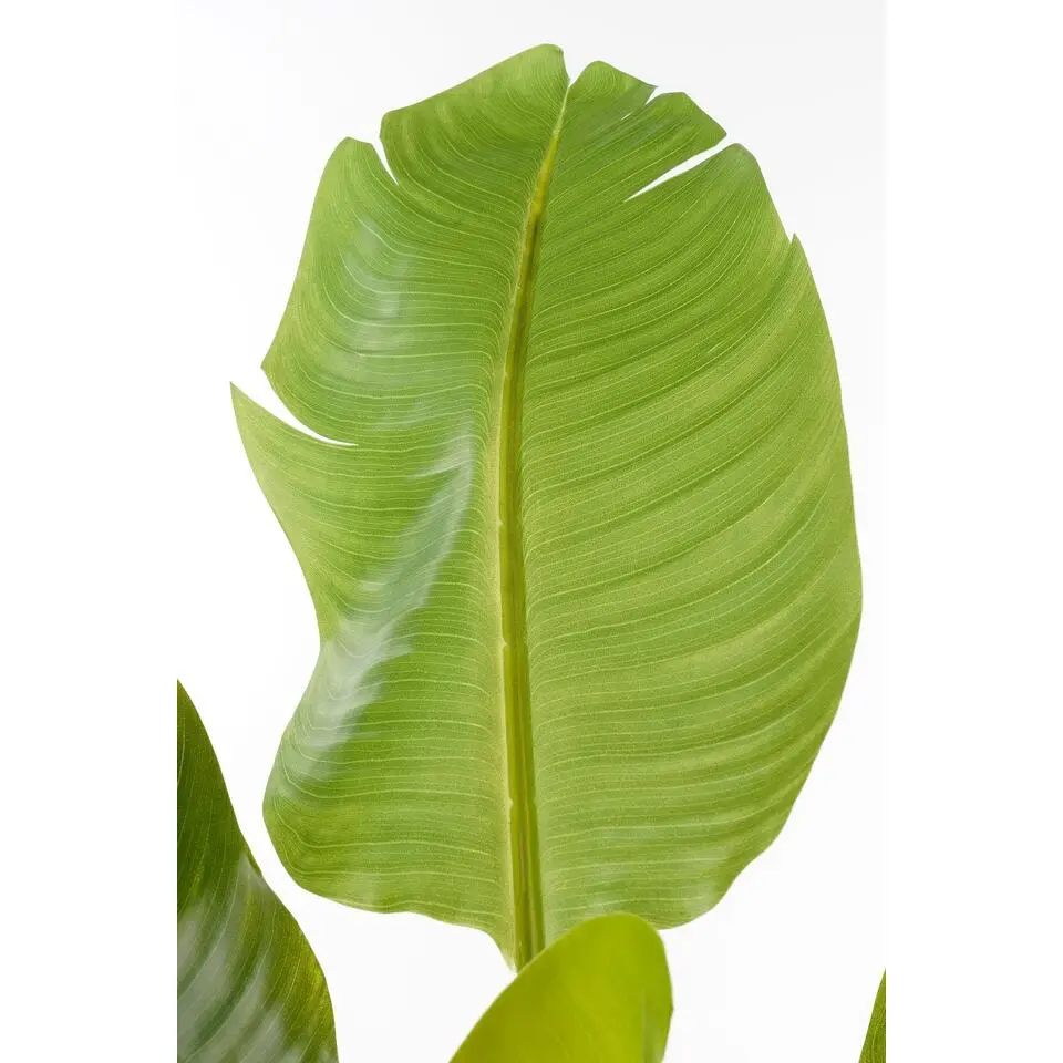 Mica Decorations Kunst Bananenplant - H120 x &Oslash;70 cm - Groen