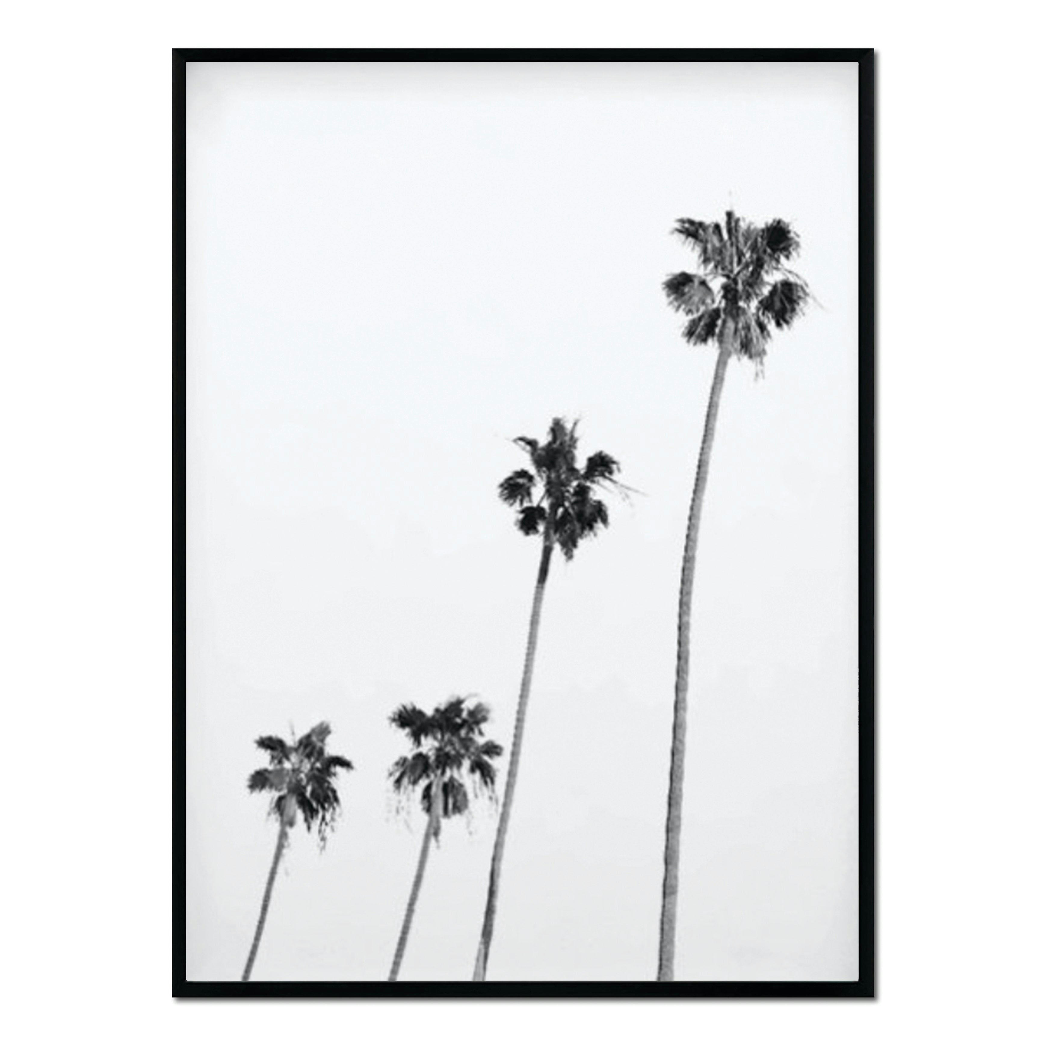 BW - Affiche avec cadre noir - Quatre palmiers - 50x70