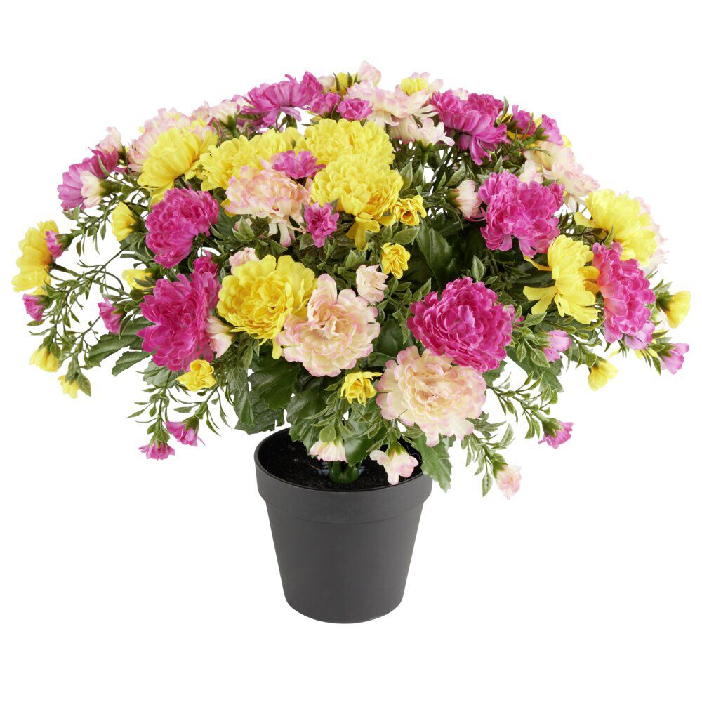 Chrysanthème 14 tiges en pot Ø34xH30cm
