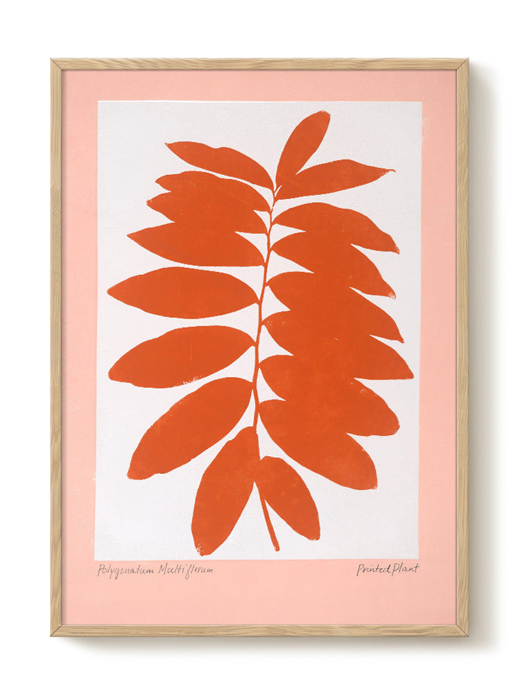 PrintedPlant - Polygonatum - PSTR studio Kunst Poster
