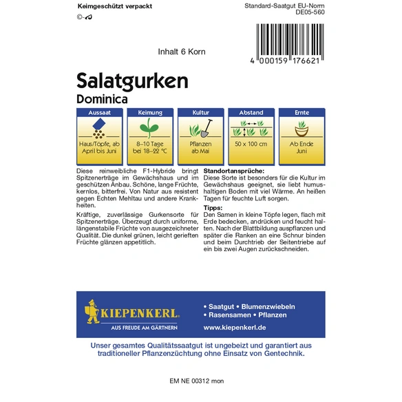 Salatgurke, Cucumis sativus, 6 Korn