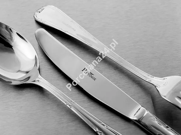 Komplet sztućców 24 cz. na 6 sób Pintinox 1929 - Filet (2.5 mm) ECObox 23.FIL.K24
