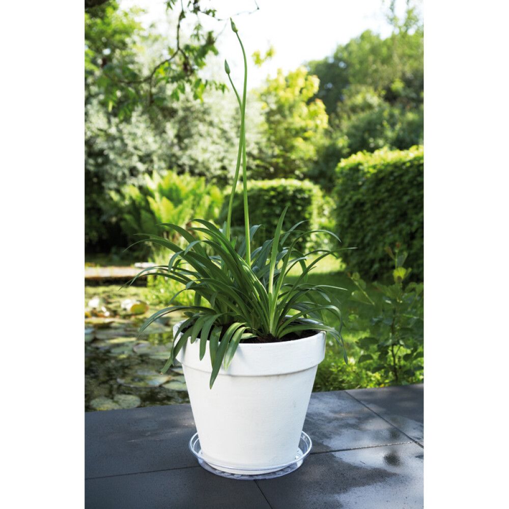 BLOMSTERSKÅL ELHO UNI-SOUCER ROUND 28CM TRANSPARENT