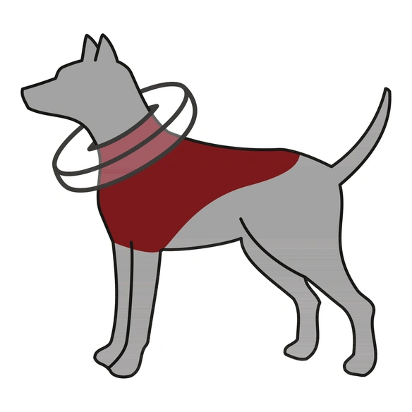 Schutzkragen, für Hunde, dunkelblau