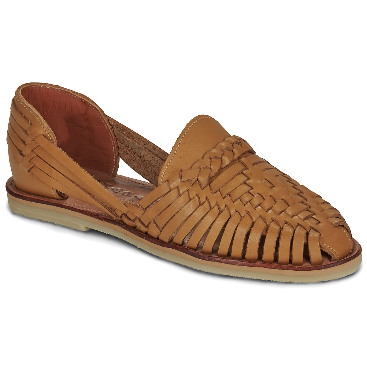 Mapache - ALEGRE - Camel