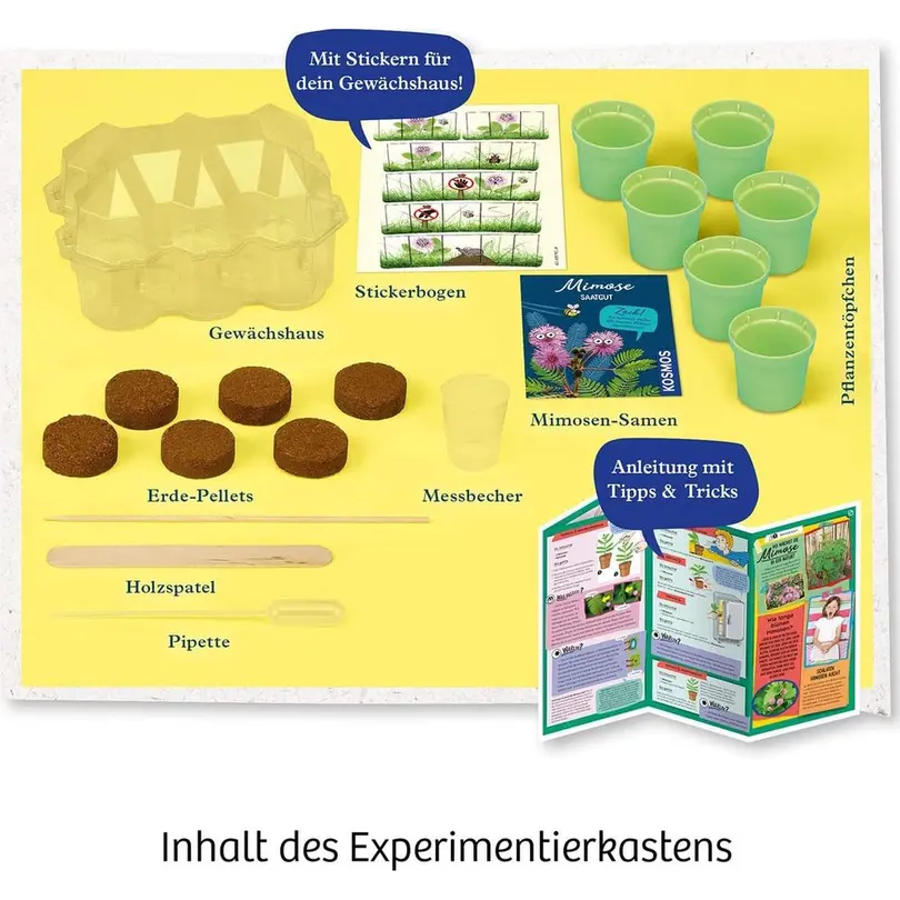 Bausatz 13-teilig Mimosen-Garten