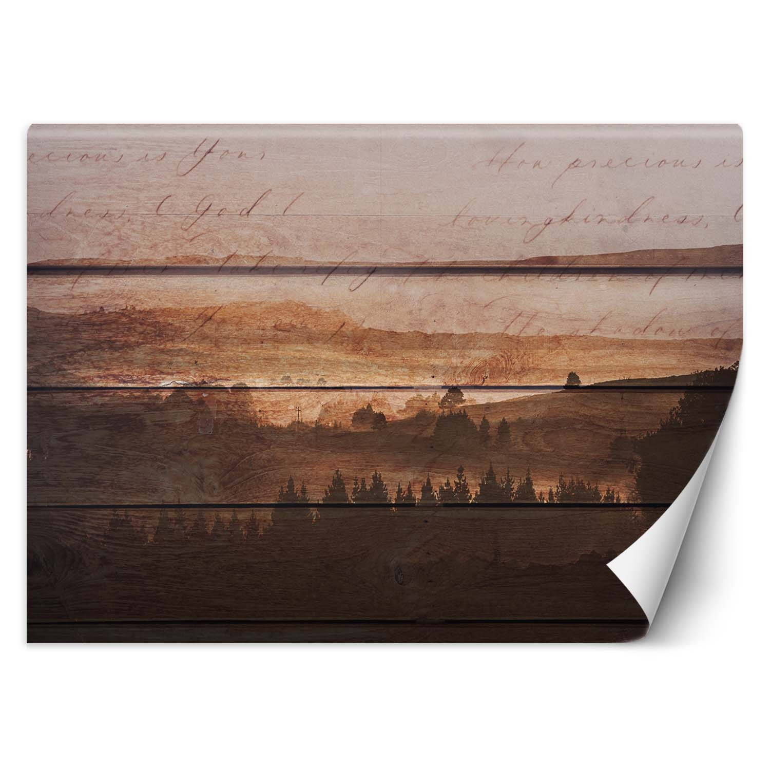 Feeby Fototapeta, Las deski vintage 150x105