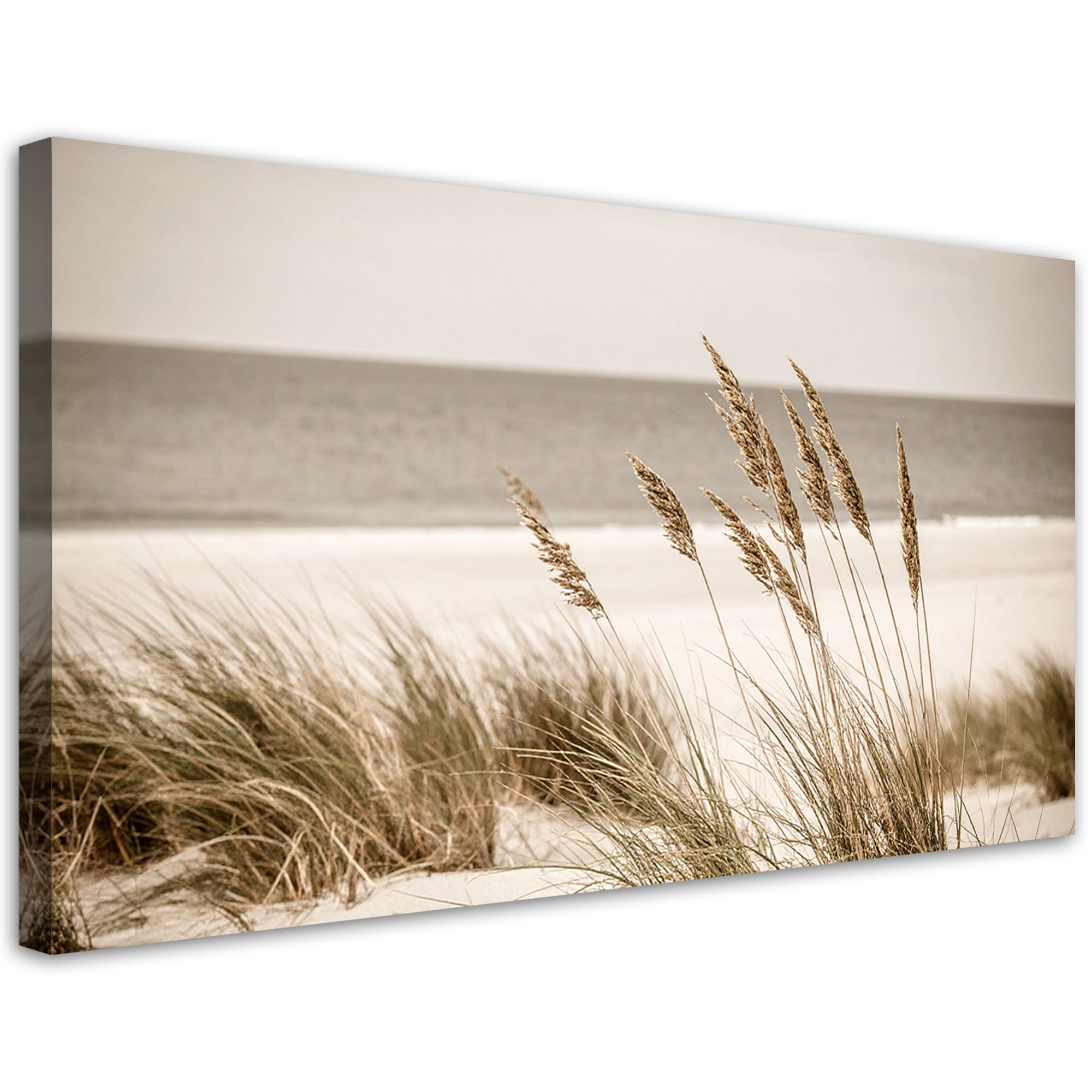 Obraz do salonu sypialni biura, Plaża morze wydmy boho pejzaż 80x40