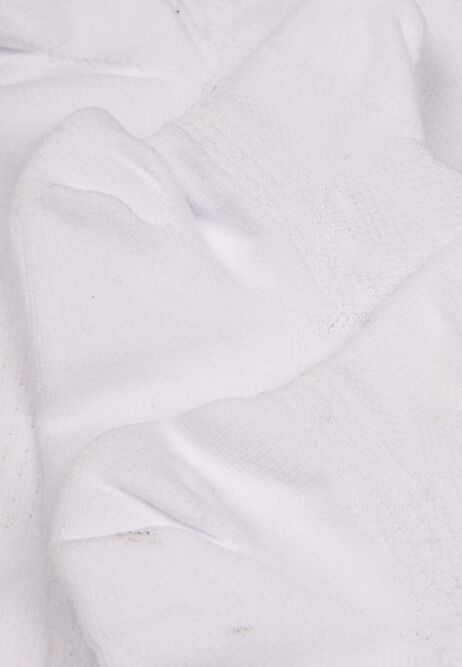 Womens 3pk White Blister Resistant Socks