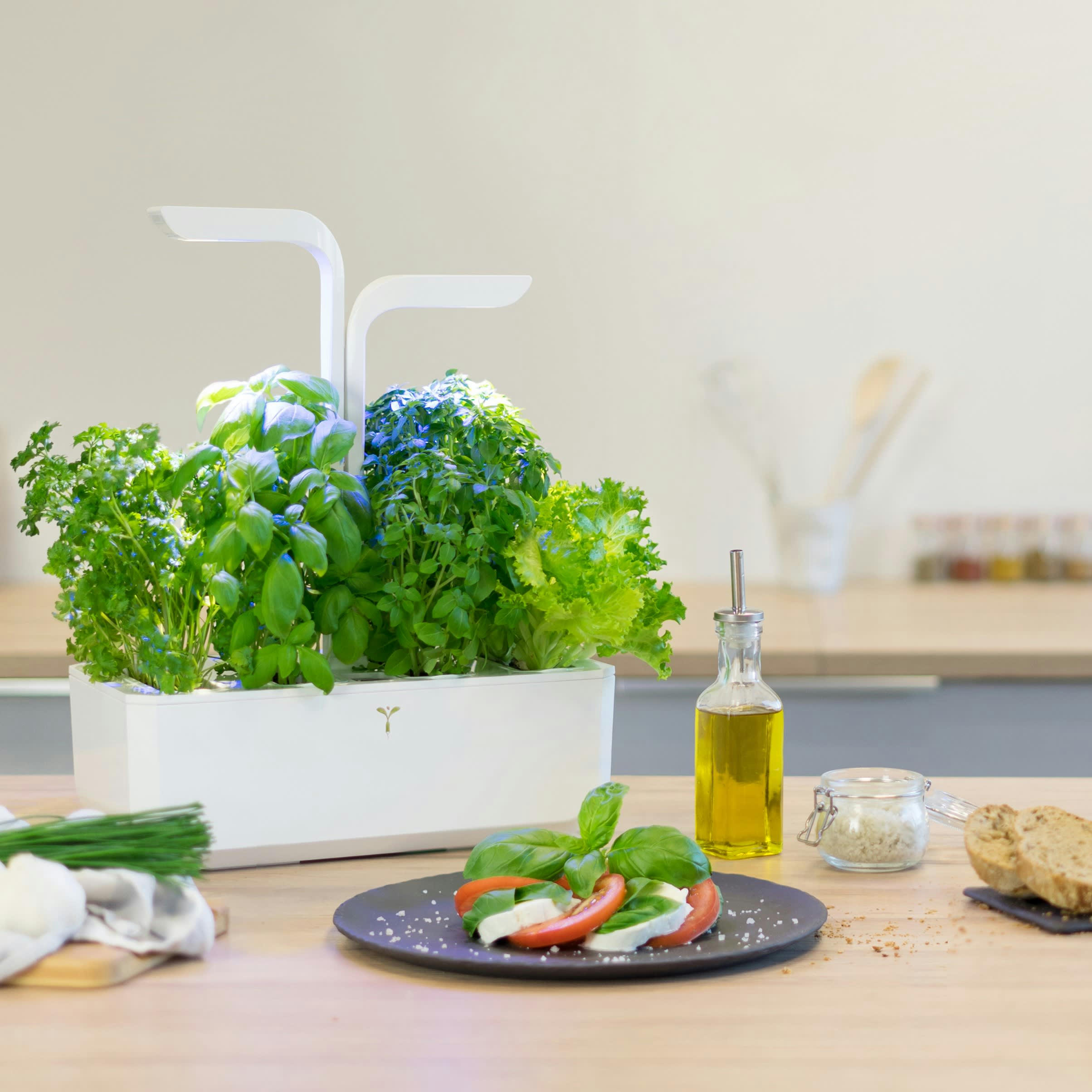 CLASSIC - Potager d'intérieur Véritable® classic