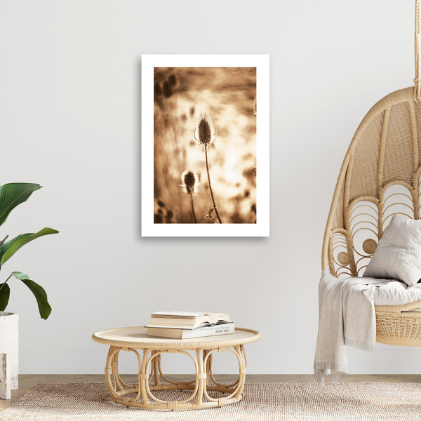 Feeby Obraz na płótnie, Suszone rośliny 40x60