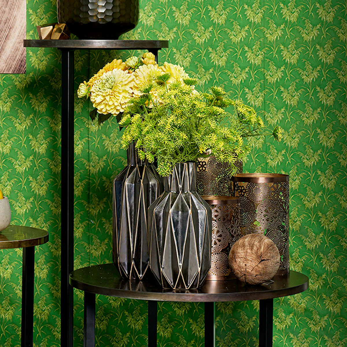 - Tige de carotte sauvage H42