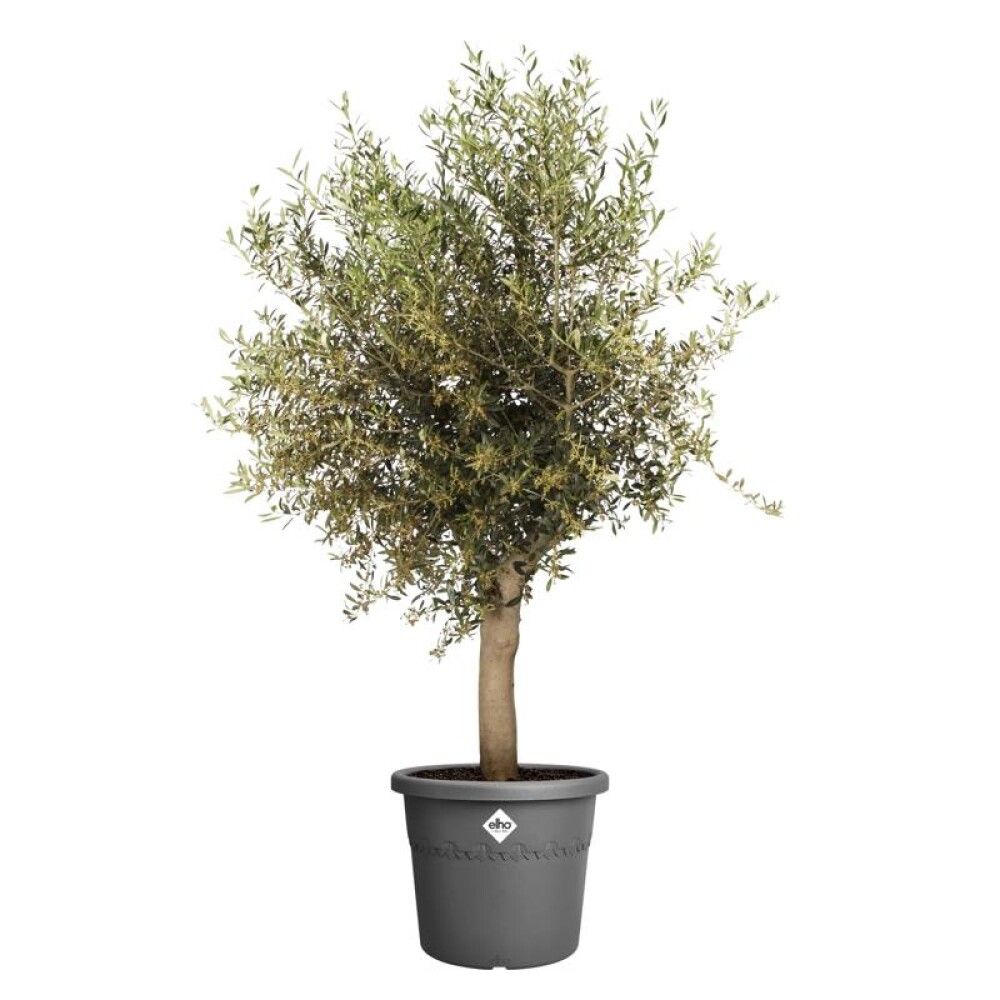 KRUKKE ELHO ALGARVE CILENDRO ANTRASITT Ø58 CM