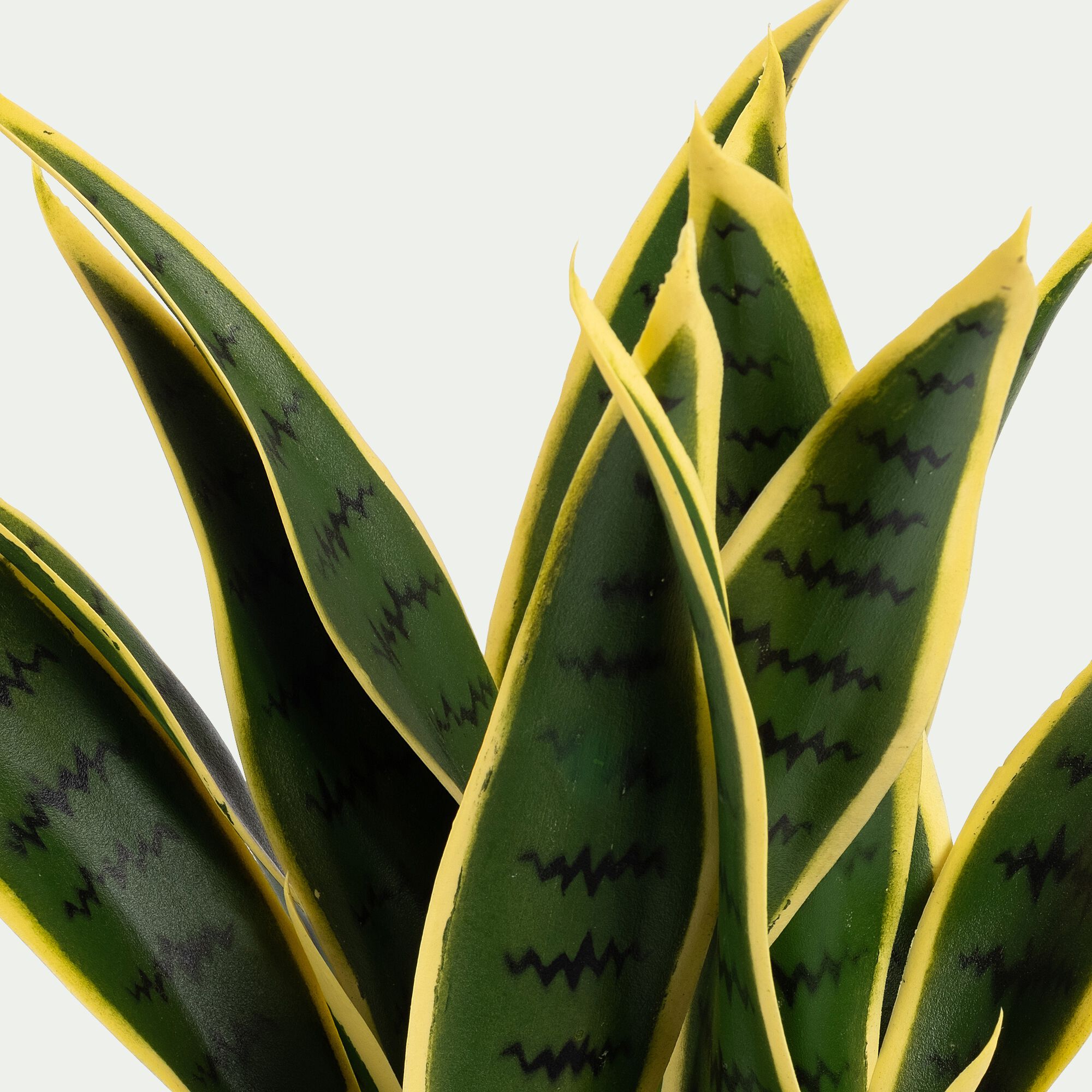 AIGO - Plante artificielle sansevieria H46cm