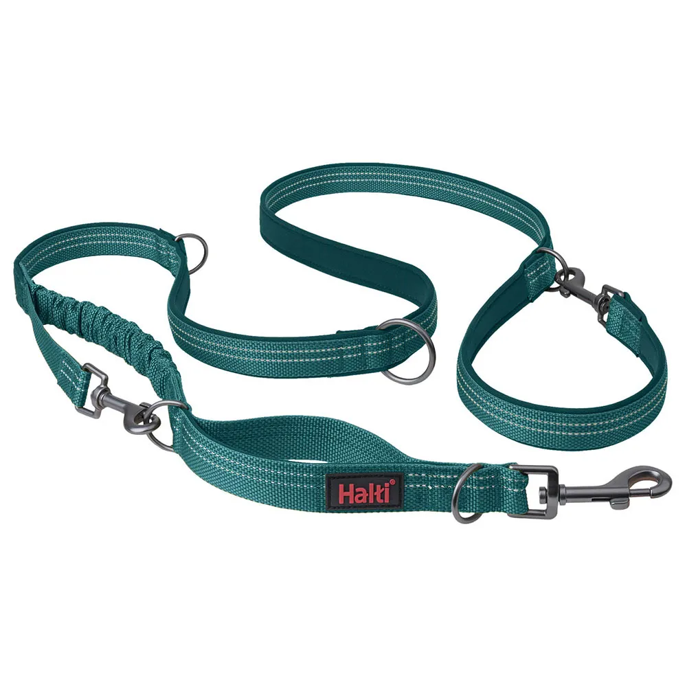 Company Of Animals Halti Anatomy dog dog leash