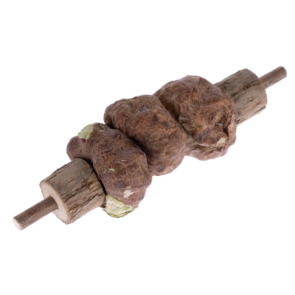 Modern Living Kyoto Silvervine Yakitori